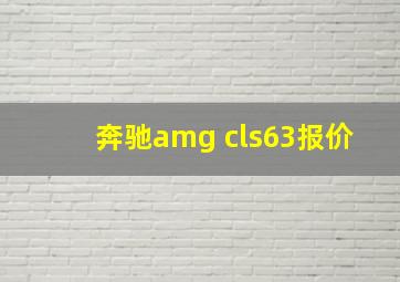 奔驰amg cls63报价